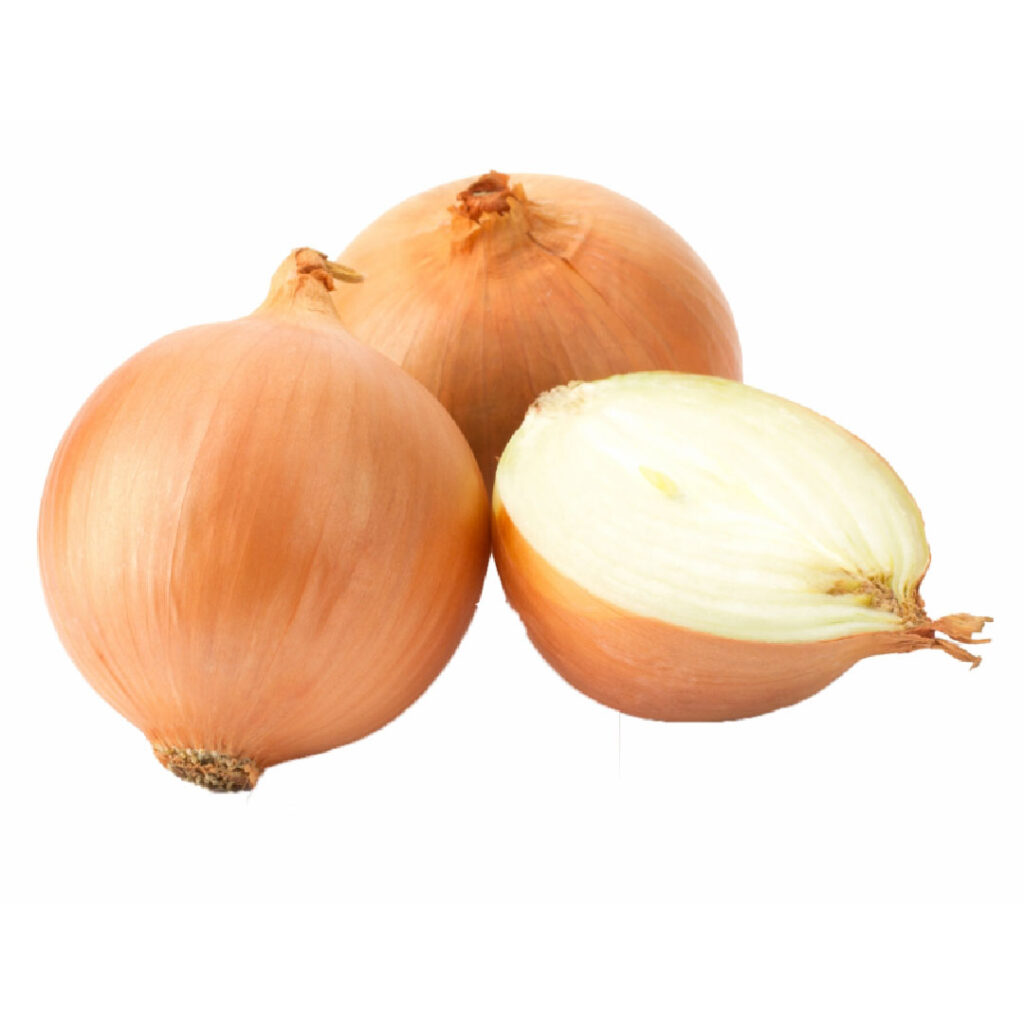 CIPOLLA DORATA KG.1
